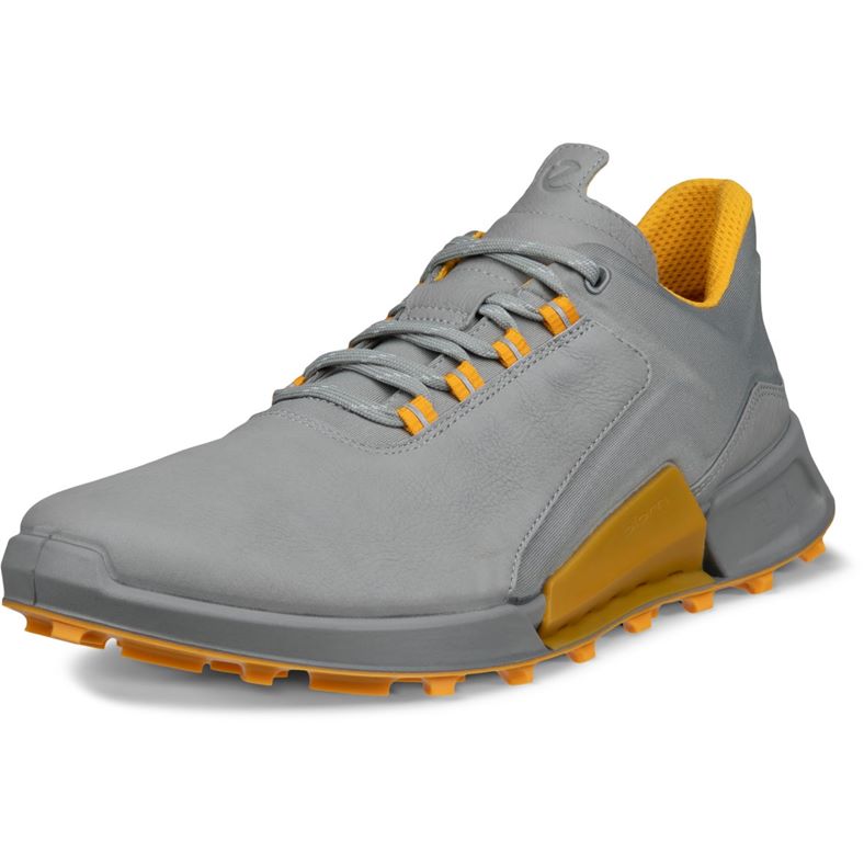 ECCO BIOM 2.1 X Mountain M (Grey)