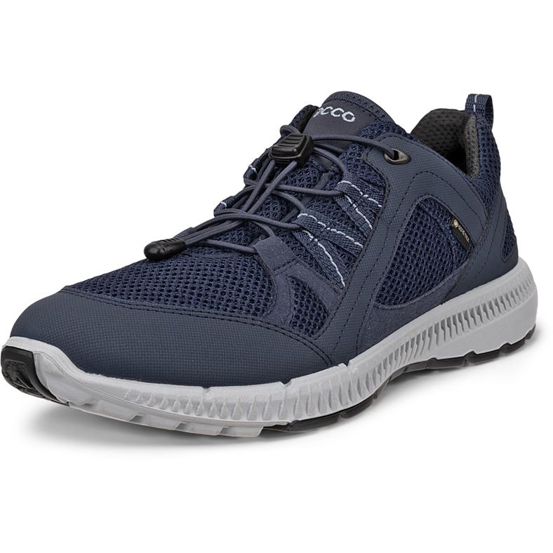 ECCO Terracruise II W (Blu)