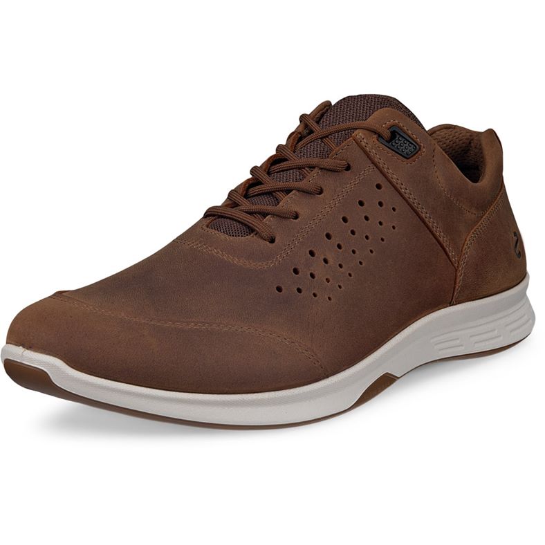 ECCO Exceed M (Marrón)