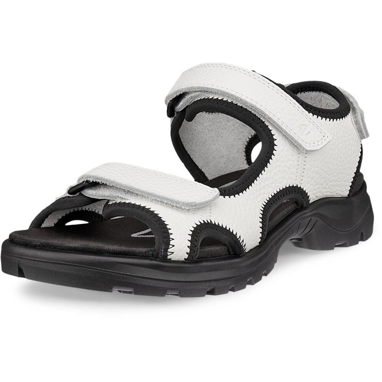 ECCO Hike W (Bianco)