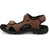 ECCO Hike M (Marrone)