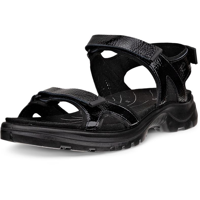 ECCO Offroad (Black)