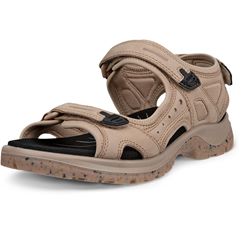 ECCO Offroad