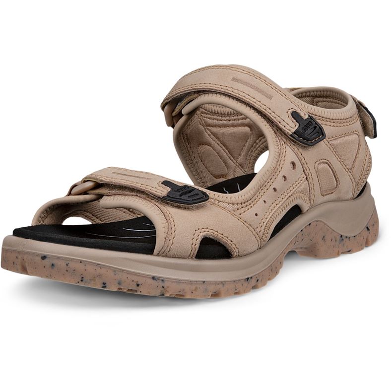 ECCO Offroad (Beige)