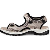 ECCO Offroad
