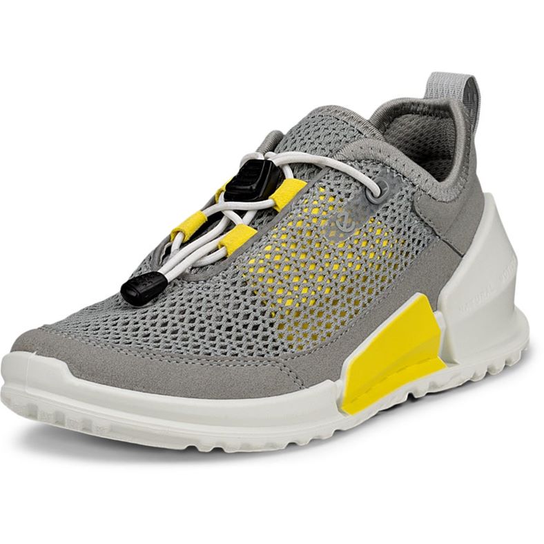 ECCO BIOM K1 (Grey)