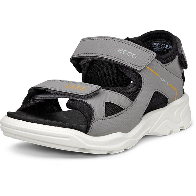 ECCO BIOM Raft (Grigio)