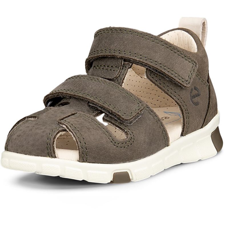 ECCO Mini Stride Sandal (Verde)