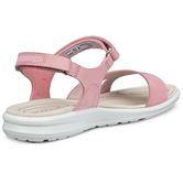 ECCO Cruise II