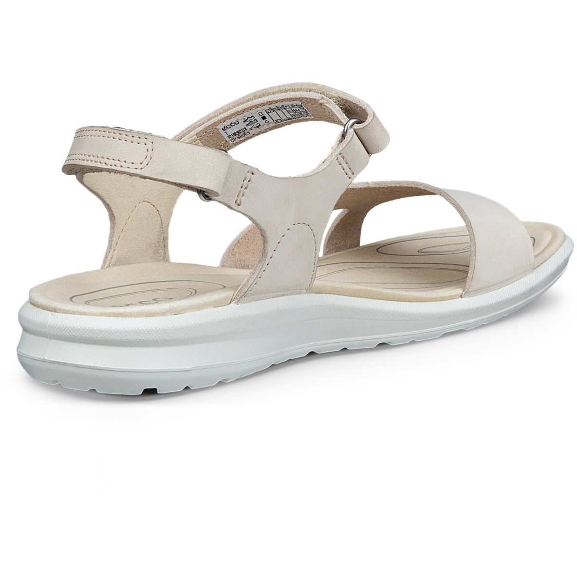 ECCO Cruise II - ECCO.com