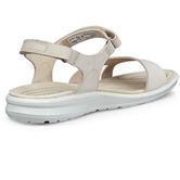 ECCO Cruise II