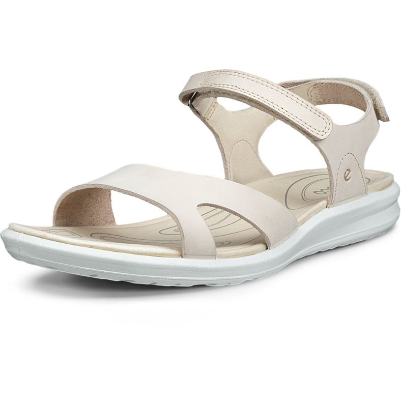 ECCO Cruise II
