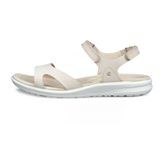 ECCO Cruise II