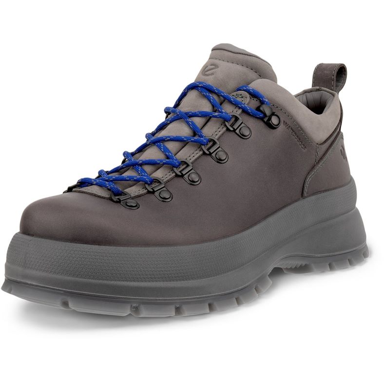 ECCO Track 30 M (Grigio)