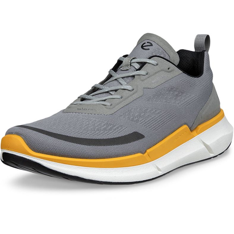 ECCO BIOM 2.2 M (Grigio)
