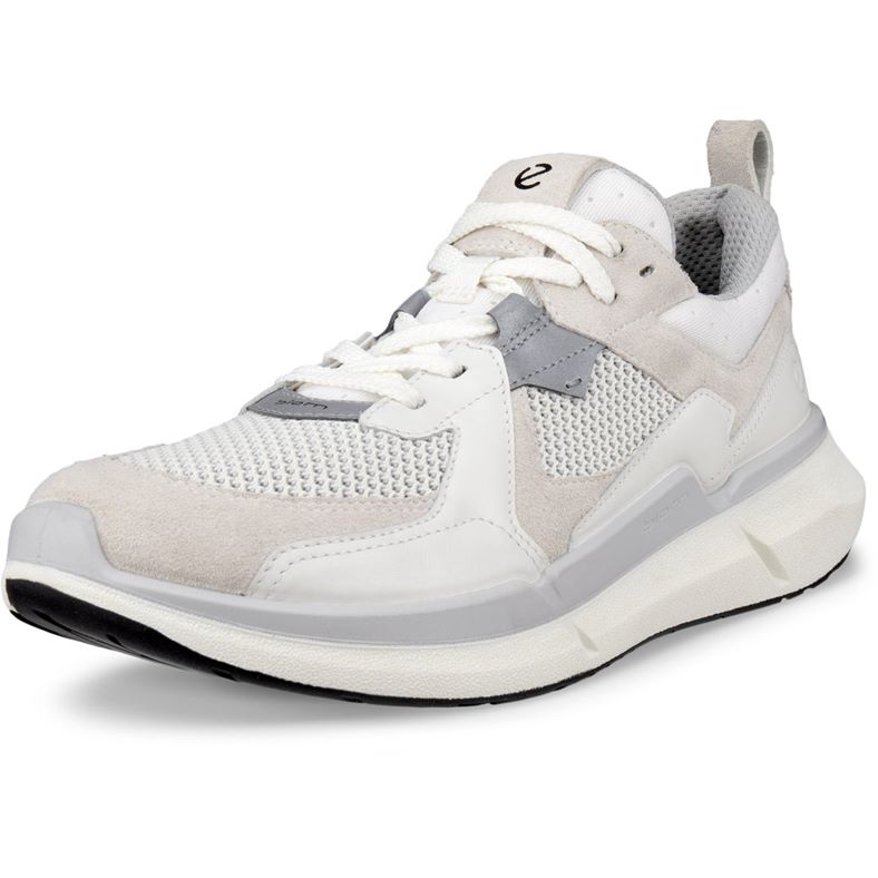 ECCO BIOM 2.2 W