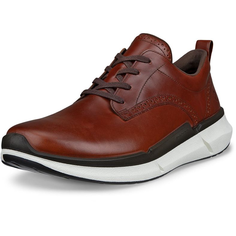 ECCO BIOM 2.2 M (Marrone)