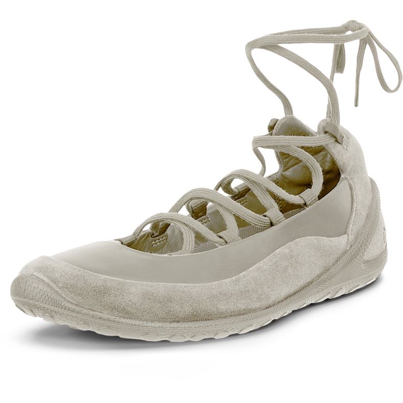 ECCO BIOM LITE W (Grey)