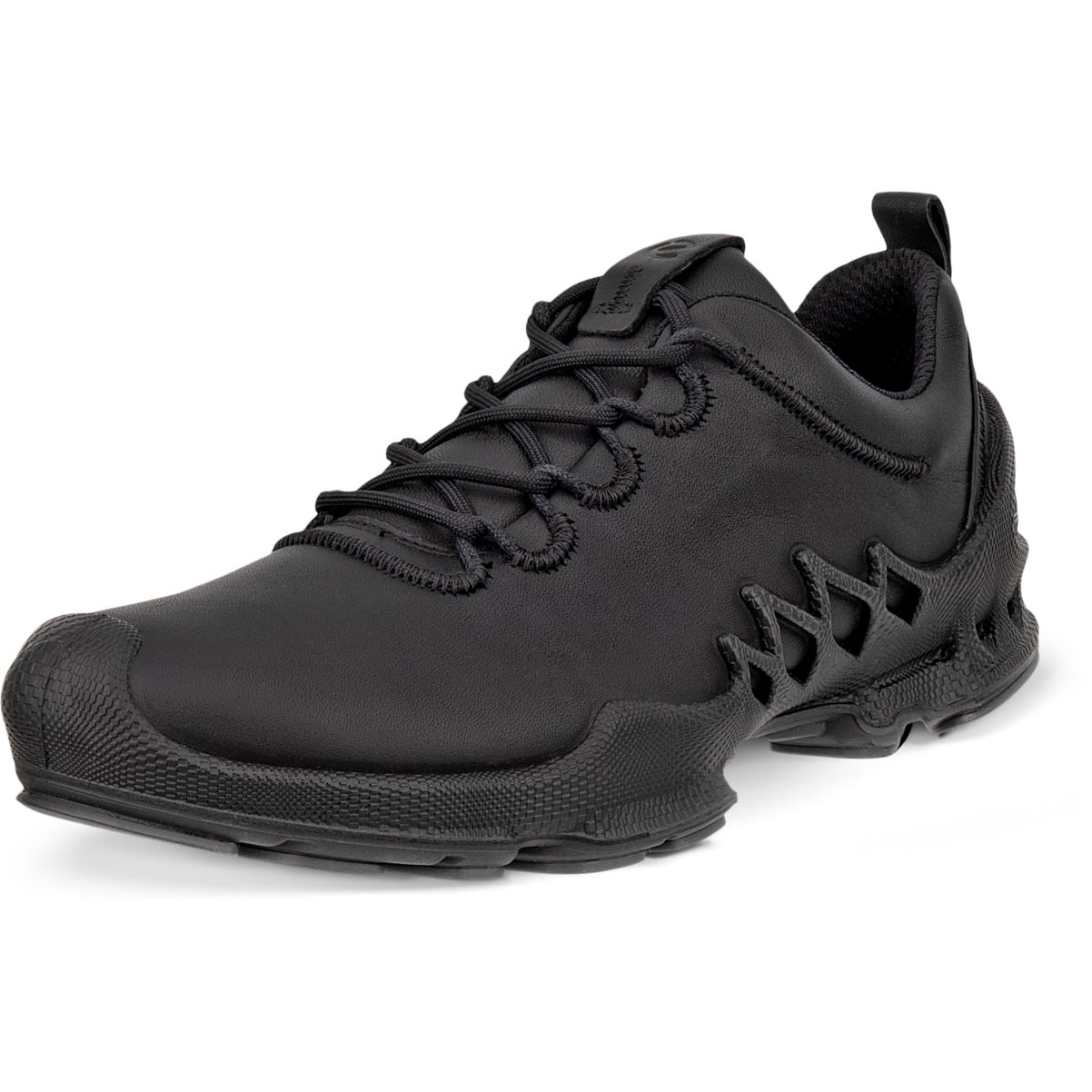 eko　0226 ECCO BIOM AEX W - ECCO.com