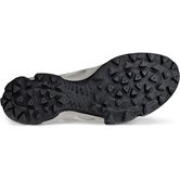 ECCO BIOM C-TRAIL W (Grey)