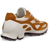 ECCO BIOM C-TRAIL W (Brown)
