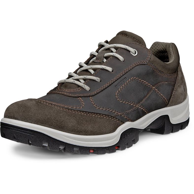 ECCO XPEDITION III W (咖啡色)
