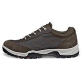 ECCO XPEDITION III W (咖啡色)