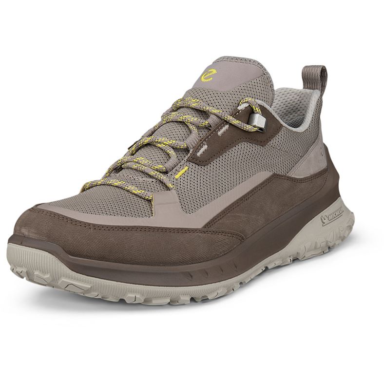 ECCO ULT-TRN W (Brown)