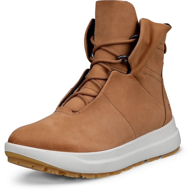 ECCO SOLICE (Brown)
