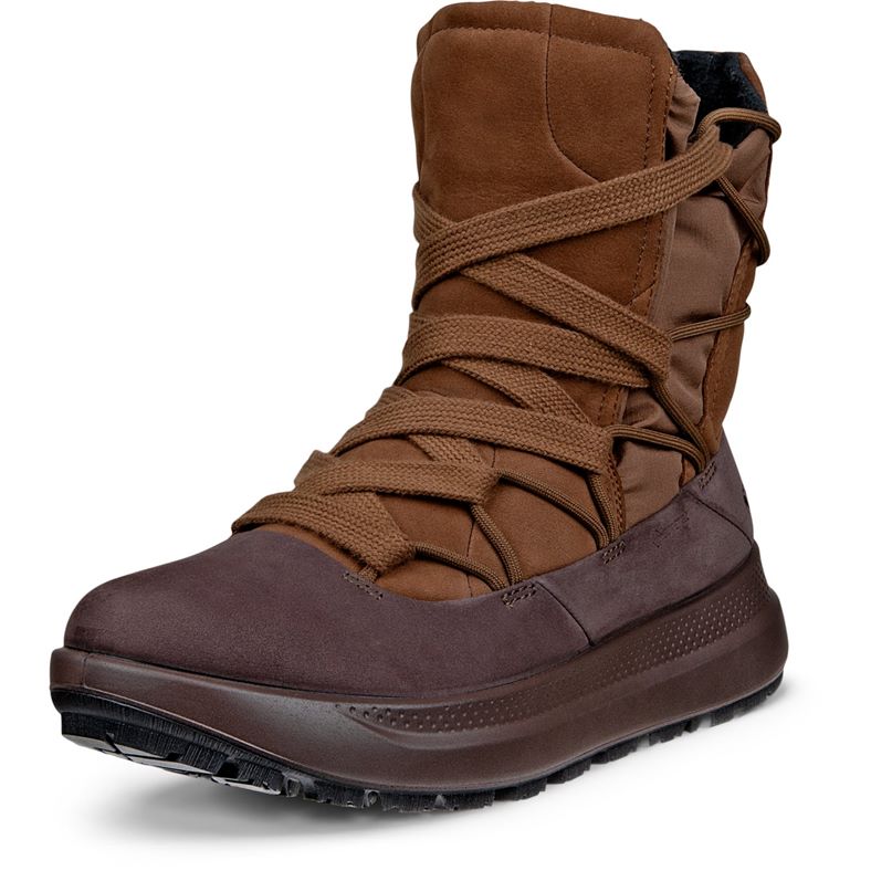ECCO SOLICE (Brown)