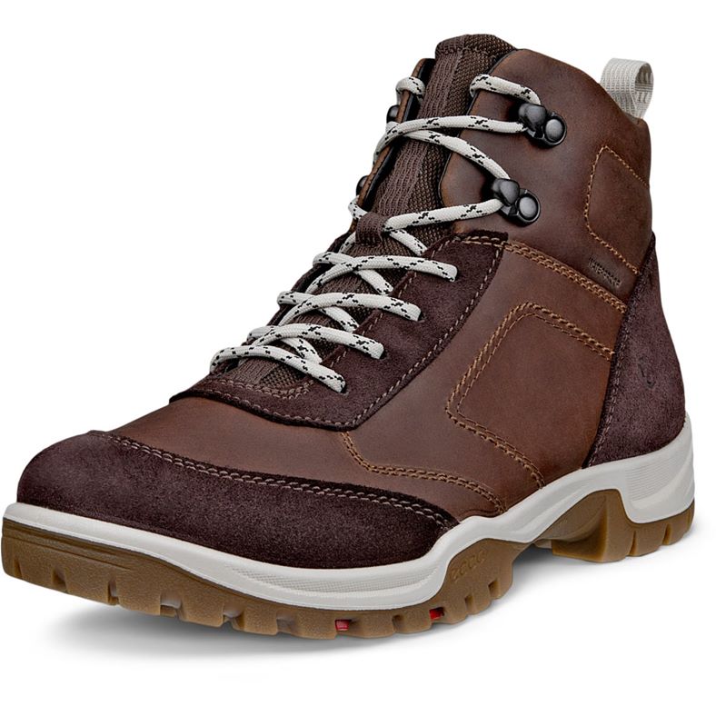 ECCO XPEDITION III W (Brown)