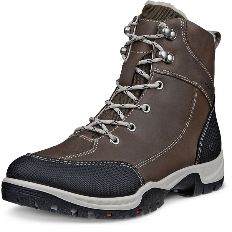 ECCO XPEDITION III W (Grey)