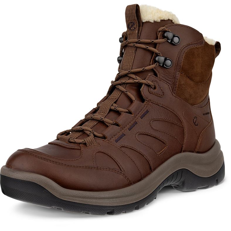 ECCO OFFROAD W (Brown)