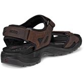 ECCO OFFROAD (Brown)