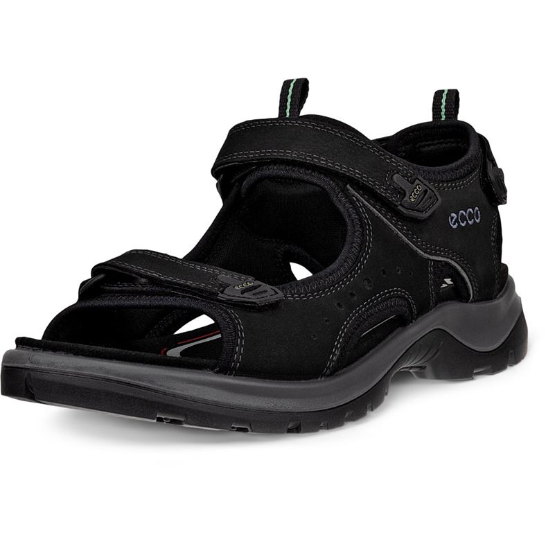 ECCO OFFROAD (黑色)
