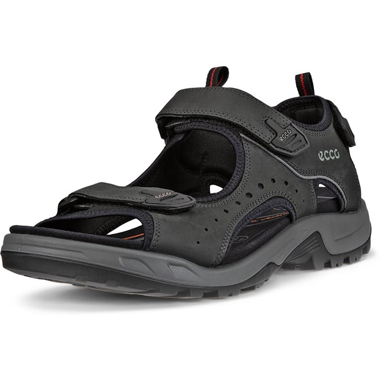 ECCO OFFROAD (黑色)