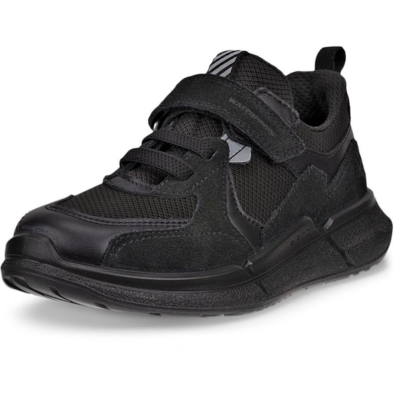 ECCO BIOM 2.2 K (Black)