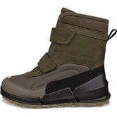 ECCO BIOM K2 (Green)