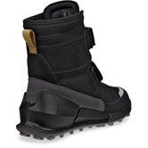 ECCO BIOM K2 (Black)