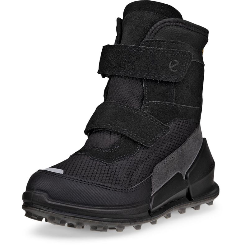 ECCO BIOM K2 (Black)