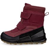 ECCO BIOM K2