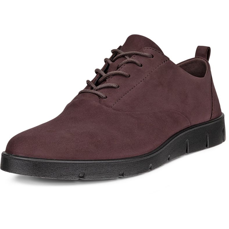 ECCO BELLA (Brown)