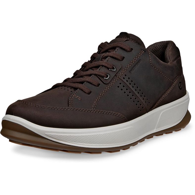 ECCO BYWAY 2.0 (棕色)