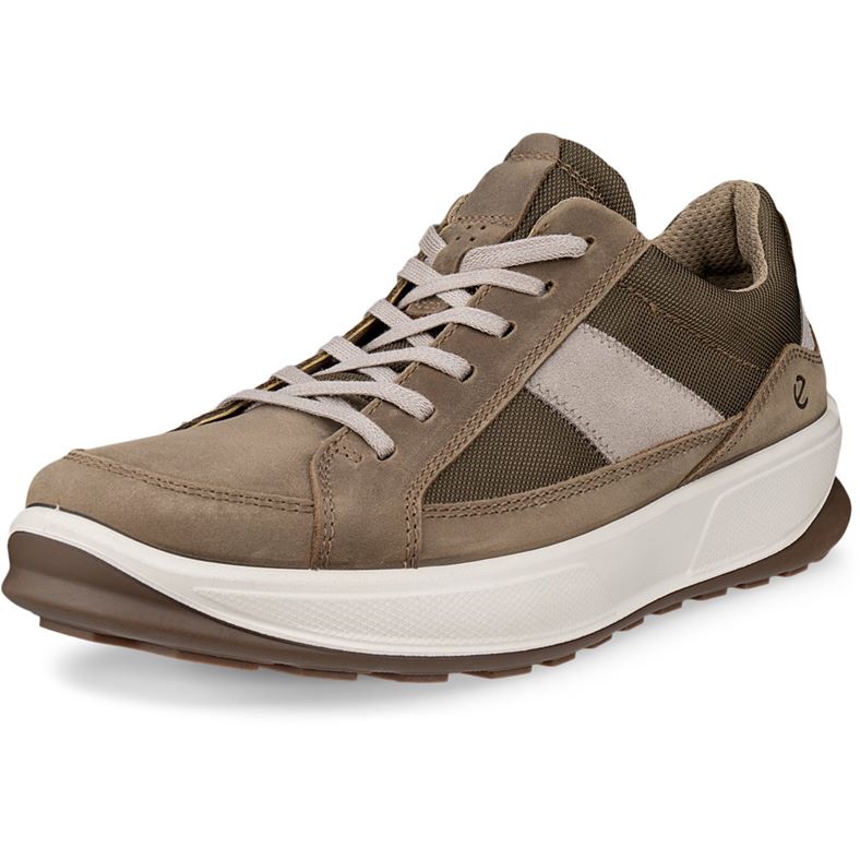 ECCO BYWAY 2.0 (棕色)