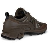 ECCO BIOM C-TRAIL M (咖啡色)