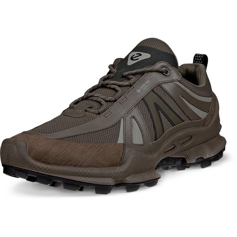 ECCO BIOM C-TRAIL M (咖啡色)