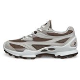 ECCO BIOM C-TRAIL M (Brown)