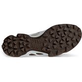ECCO BIOM C-TRAIL M (Brown)