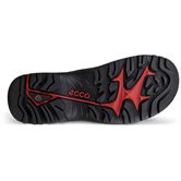 ECCO OFFROAD M (綠色)