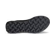 ECCO BIOM 2.1 X MOUNTAIN M (黑色)